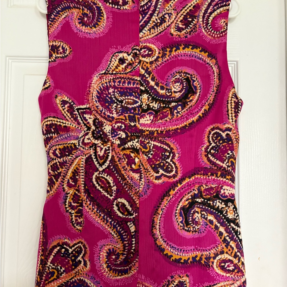 Ralph Lauren Fuchsia Paisley Dress